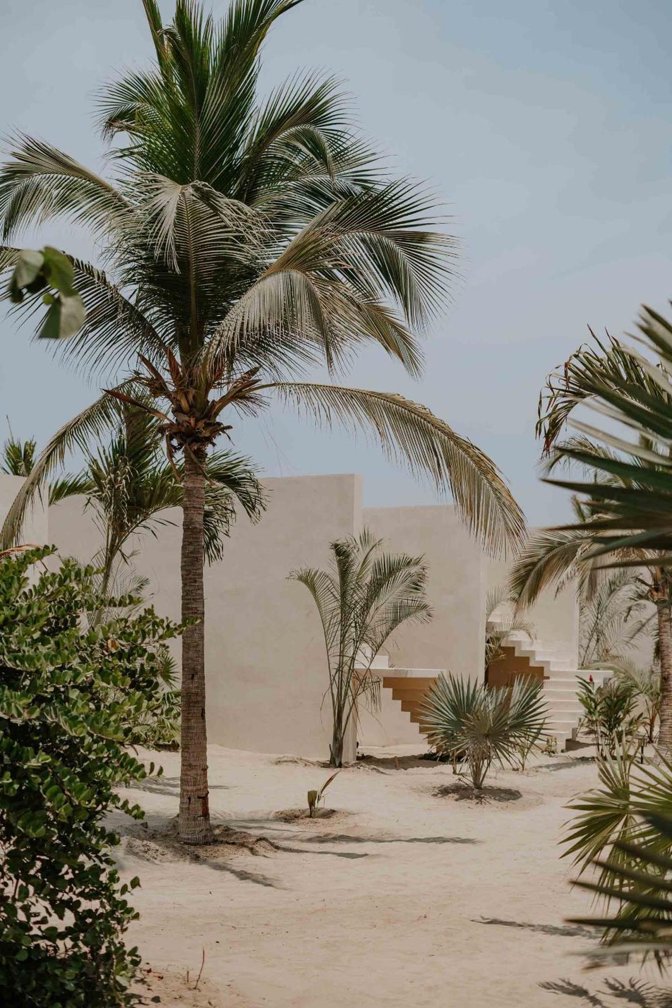 Casa Yuma, Puerto Escondido Hotel ปูแอร์โตเอสกอนดิโด ภายนอก รูปภาพ